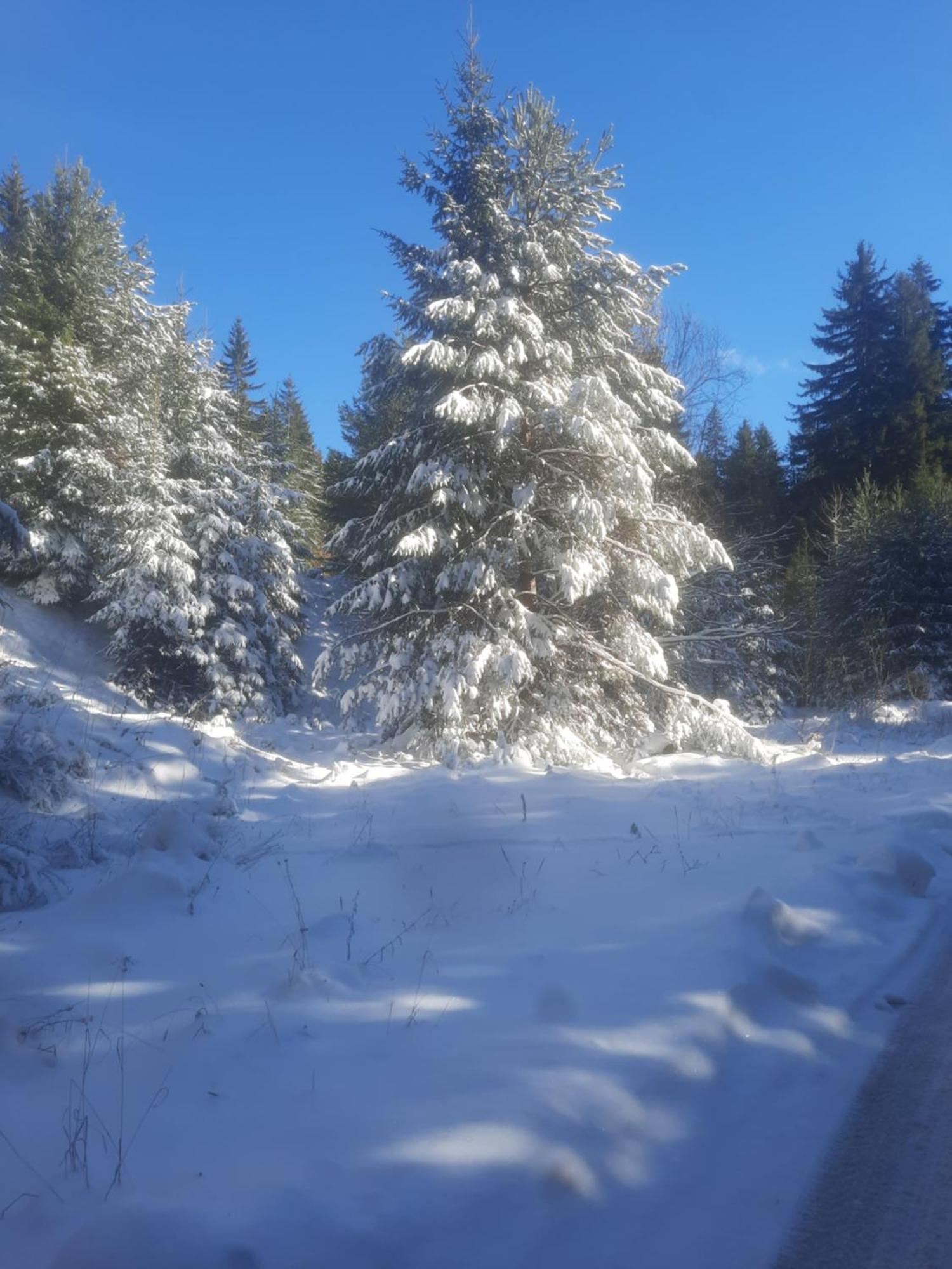 Семеен Хотел Кристал Smolyan Bagian luar foto